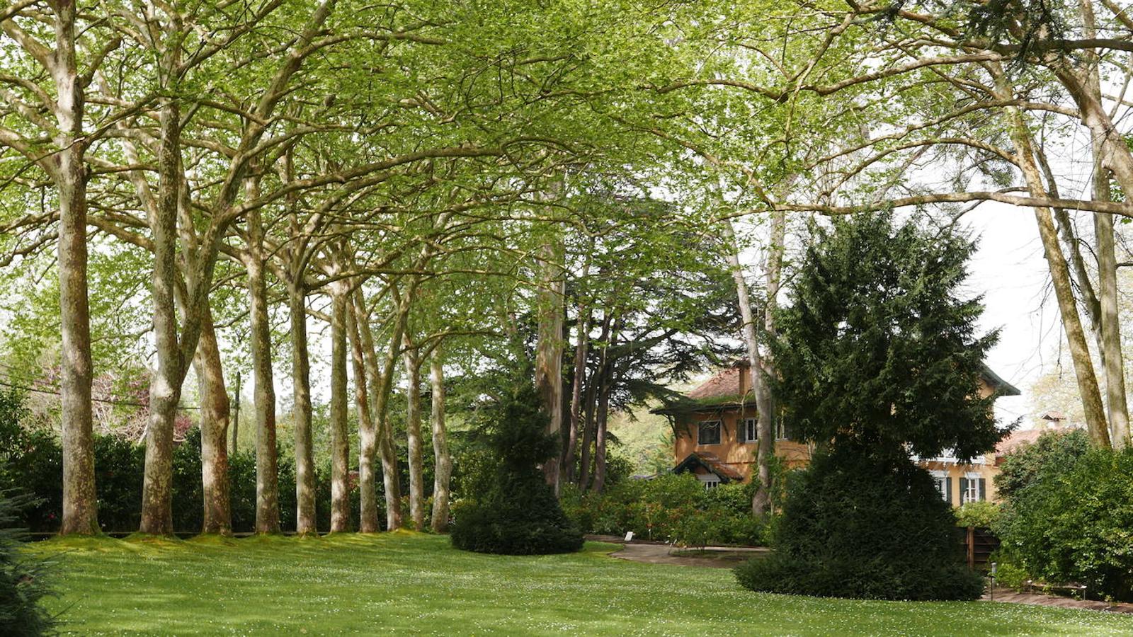 El Jardín Botánico de Gijón será el primero del país en integrarse en una red internacional que estudia cómo afecta el clima a las especies vegetales. Se marcan dos años para llevarlo a cabo y también para relanzarlo y que se convierta en un centro de referencia en conservación de especies y hábitats vegetales, tanto en España como en Europa.