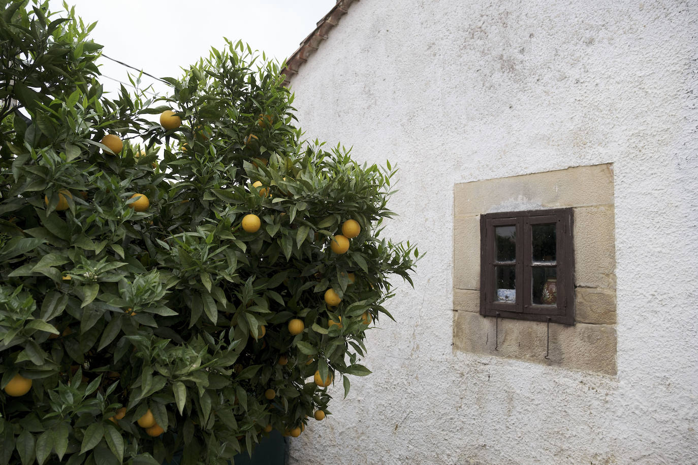 En el Valle Oscuru. Esta casona de indianos, de estilo tradicional asturiano, se encuentra enclavada en el concejo de Llanes y es desde hace un siglo residencia de la familia política de Violeta. 