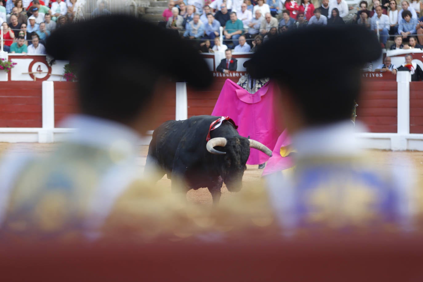 El Bibio se quedó en 2020 por primera vez sin festejos taurinos desde 1941. Fue la única falta en siete décadas. Inaugurada en 1888, la plaza de toros gijonesa ha vivido muy pocos años de sequía a lo largo de su historia. Por diferentes circunstancias, incluido el paréntesis de la Guerra Civil, no hubo corridas en 1915, 1936, 1937, 1938, 1939 y 1940. Para 2021, el Ayuntamiento ya ha mostrado su «total colaboración» para retomar la Feria de Nuestra Señora de Begoña, aunque sea en un formato más reducido. 2017.