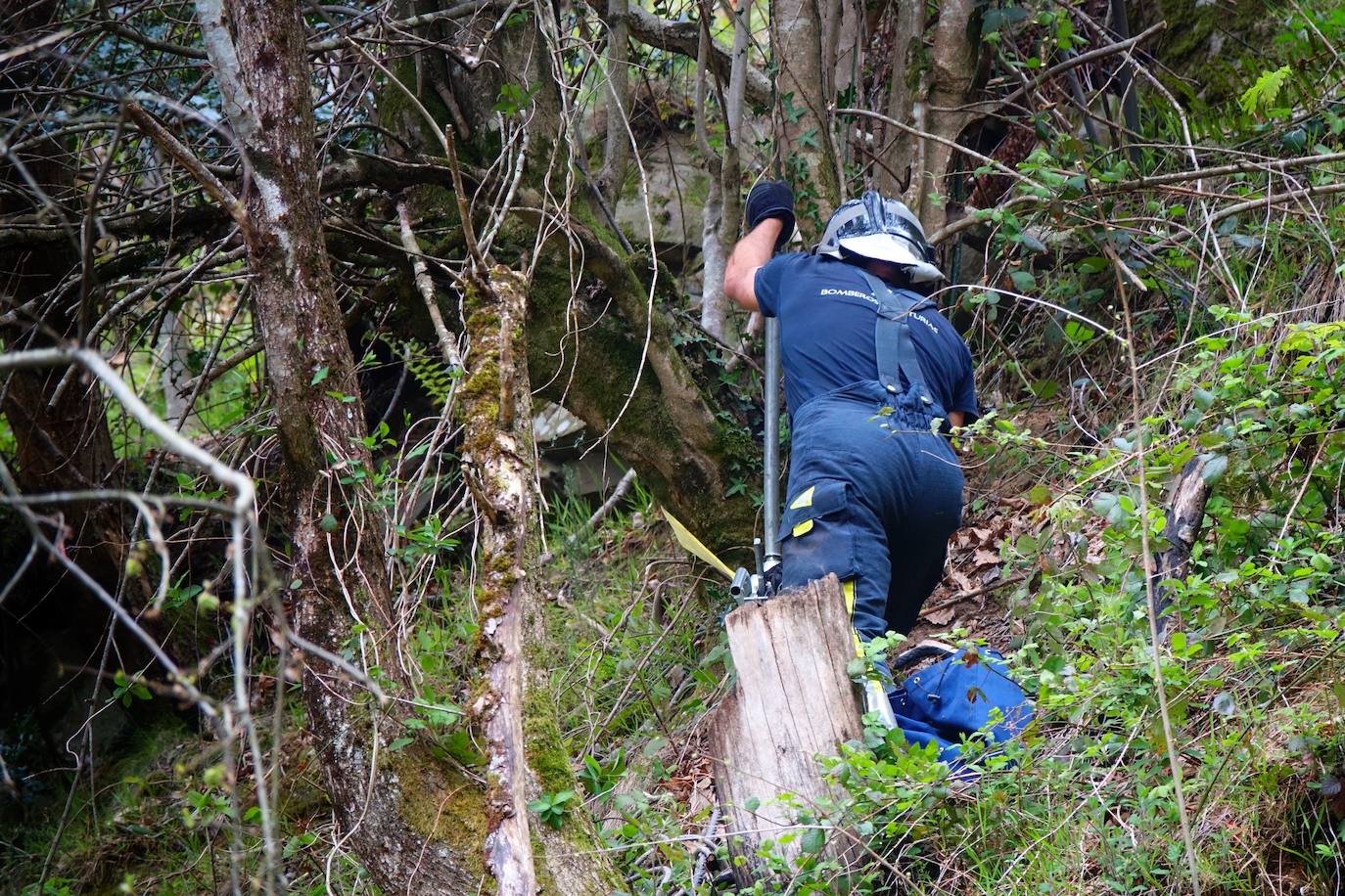 Un hombre de 55 años falleció este viernes en la localidad pongueta de Viboli cuando uno de los troncos con los que trabajaba cayó sobre él, golpeándole en la cabeza.