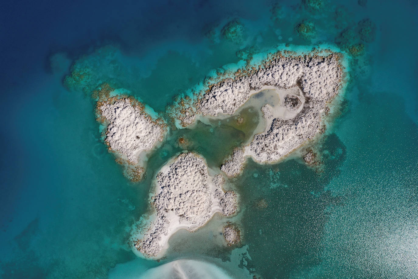 Un lago de unos 40 kilómetros cuadrados en el suroeste de Turquía ha atraído la atención de los científicos por las similitudes que ven con el cráter Jezero de Marte, donde aterrizó el explorador Perseverance de la NASA. Los investigadores creen que el lago Salda, en la provincia de Burdur, comparte características minerales y geológicas similares al cráter Jezero