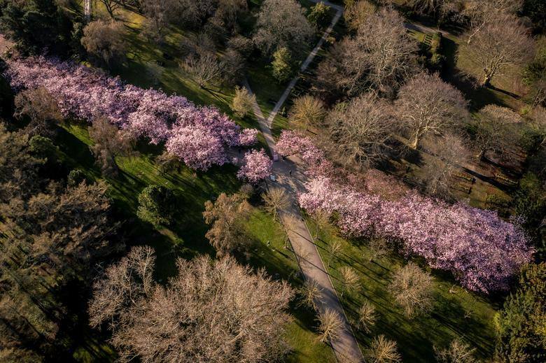 Cementerio de Bispebjerg, en Copenhague, Dinamarca