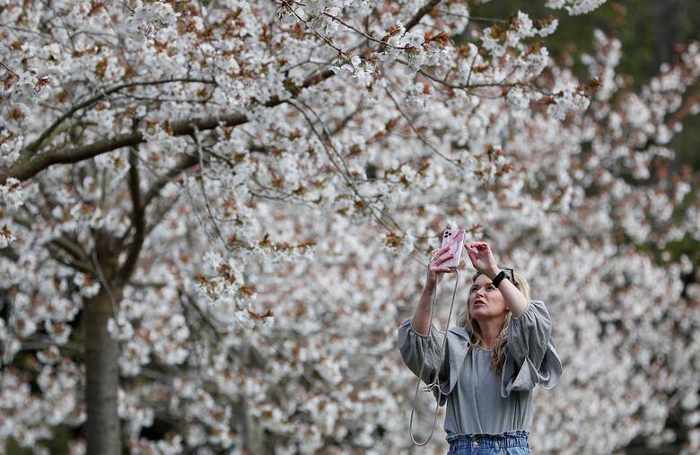 Alnwick, Northumberland, Reino Unido