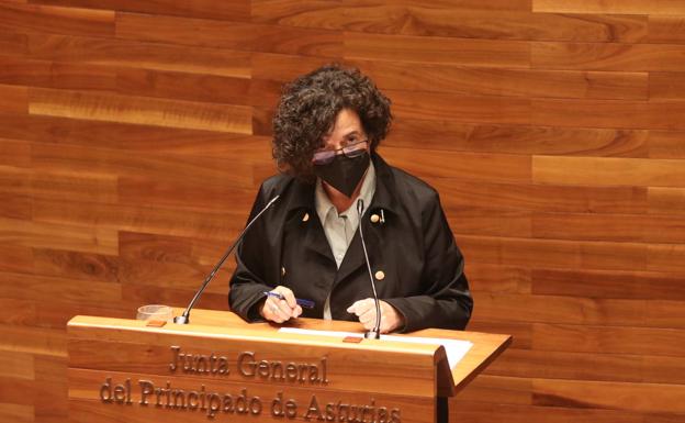La consejera de Cultura, Berta Piñán 