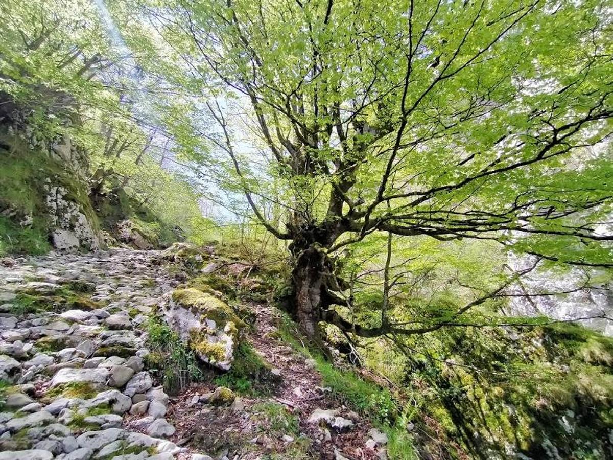 Fotos: Ruta el Porrón de Peña Blanca desde Cueva Deboyu