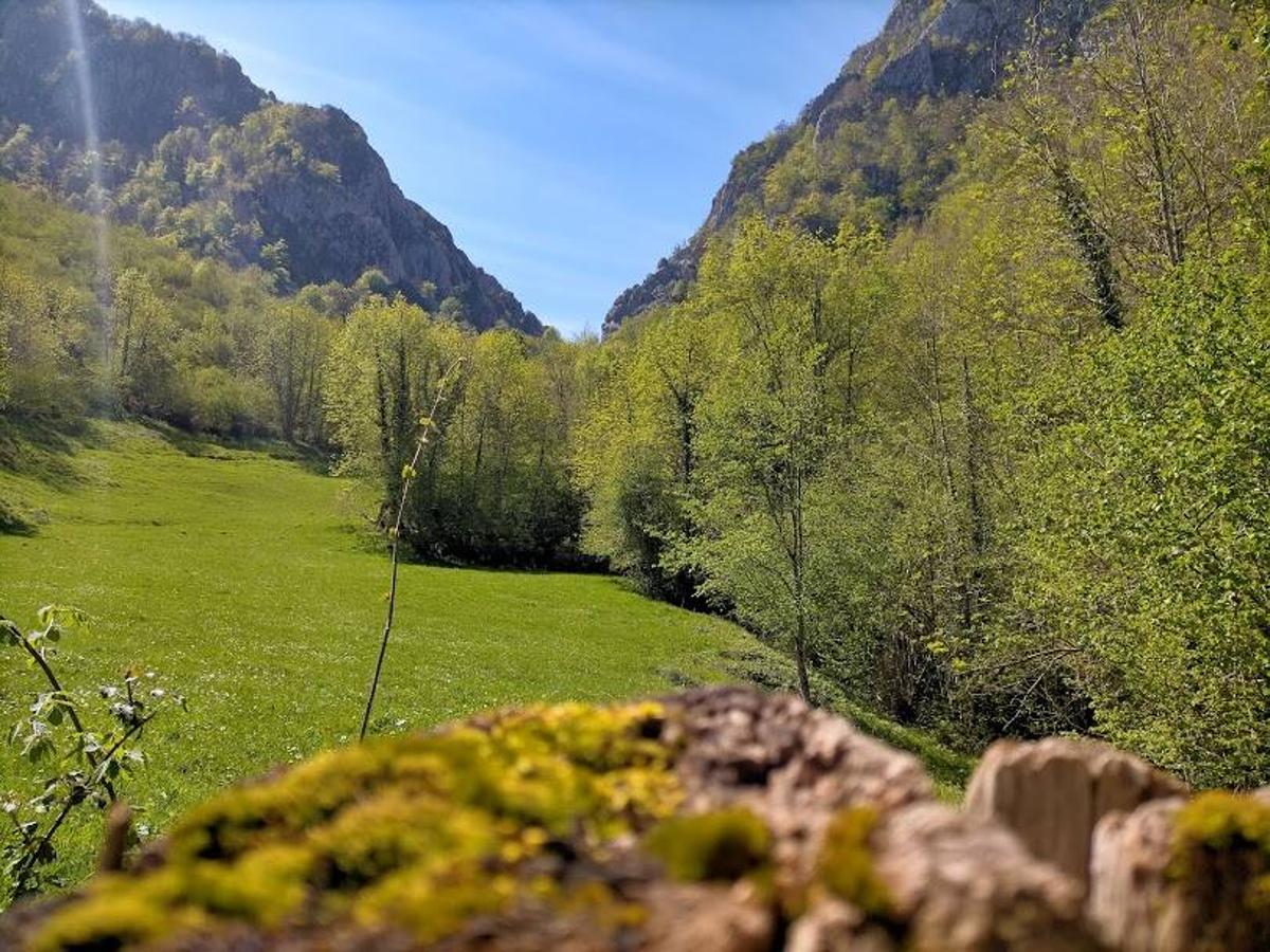 Vista de la Foz de Cebatón (Caso).