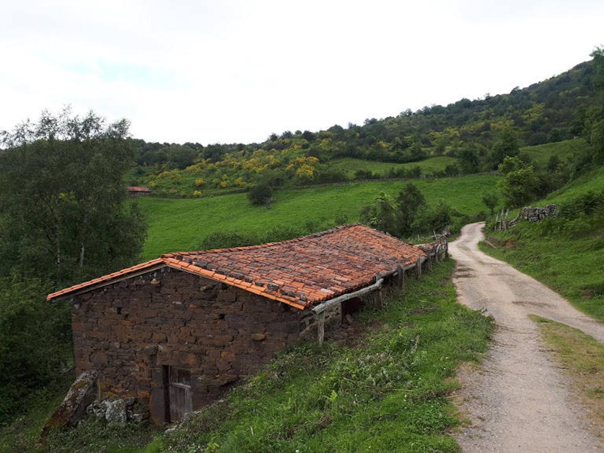 Tramo de la ruta vaqueira por Teverga.