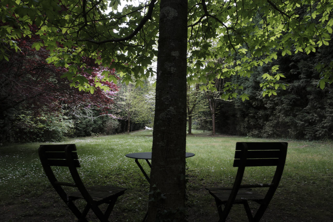 Simbiosis. La naturaleza asturiana en todo su esplendor y una cuidada decoración que combina varios estilos se fusionan en esta vivienda ubicada en un valle del concejo de Villaviciosa