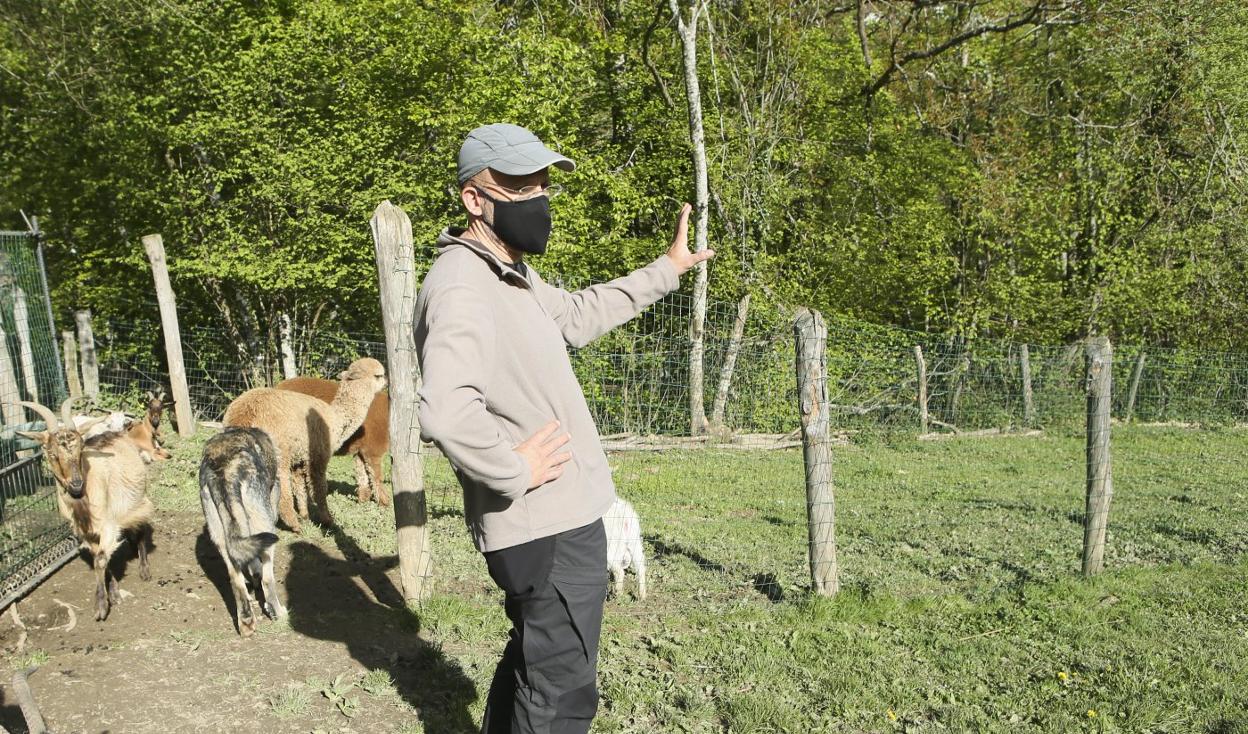 Fernando Ballesteros, biólogo de la Fundación Oso Pardo. 