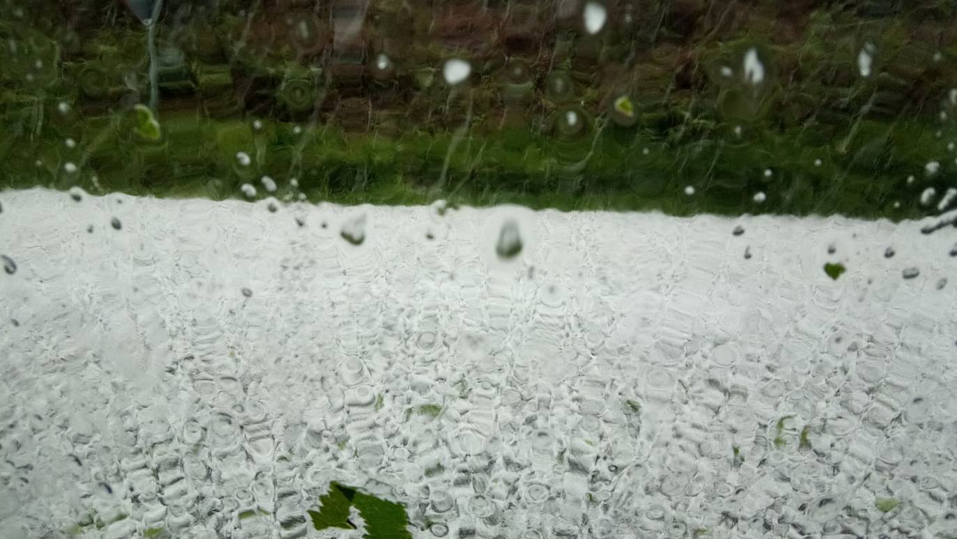 Las espectaculares tormentas de este lunes han descargado granizo en algunas zonas del centro asturiano. En Nava, por ejemplo, la granizada ha arruinado la mayor parte de la cosecha de arándanos. 