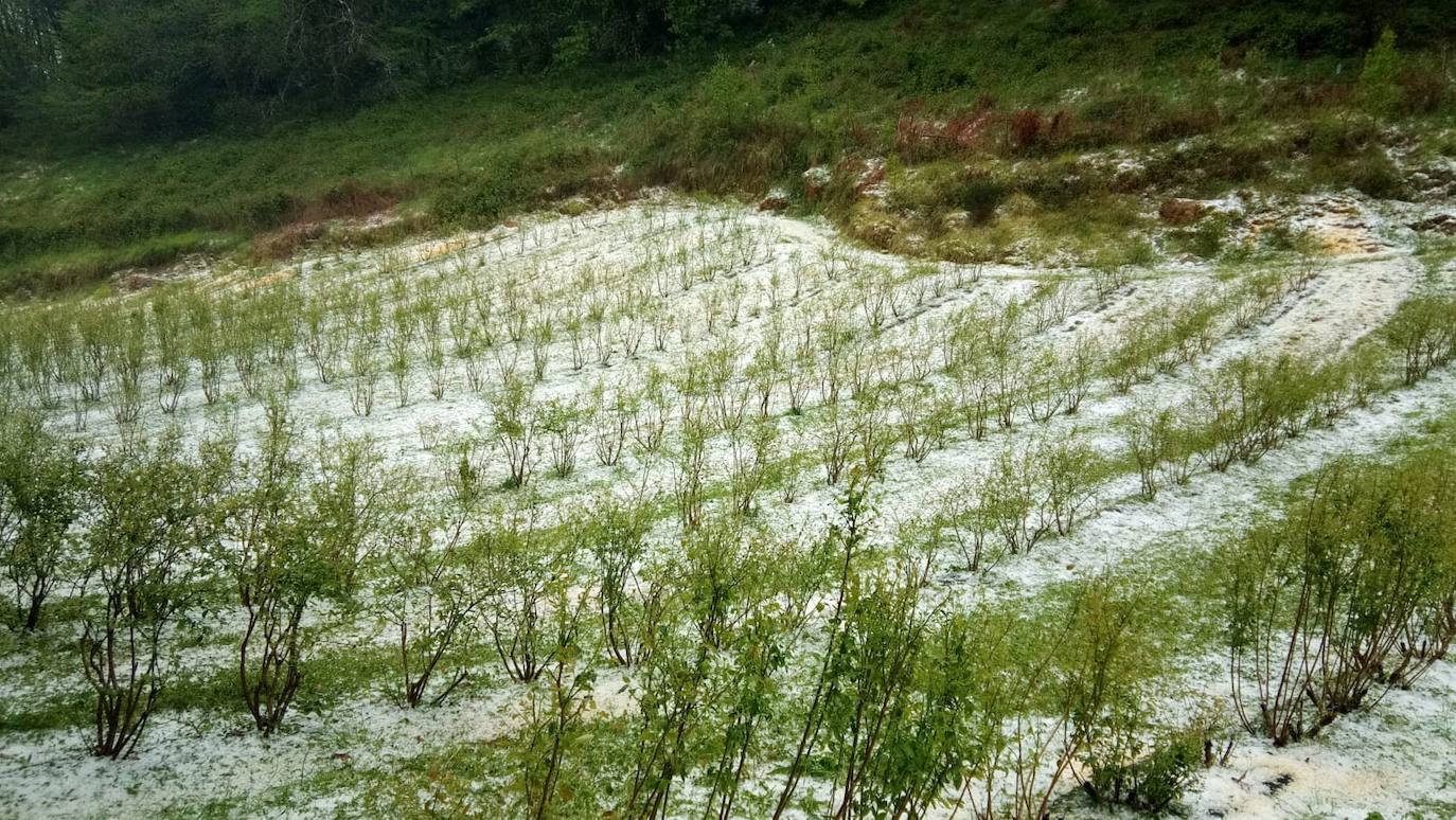 Las lluvias serán protagonistas durante toda esta semana en Asturias. La región ha vivido un lunes lluvioso, con cielos cubiertos que han dejado granizo en algunos puntos el interior. 