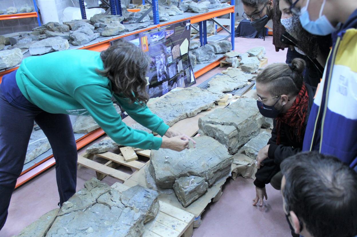 Laura Piñuela muestra a los visitantes las huellas de dinosaurio que guardan en la litoteca. 