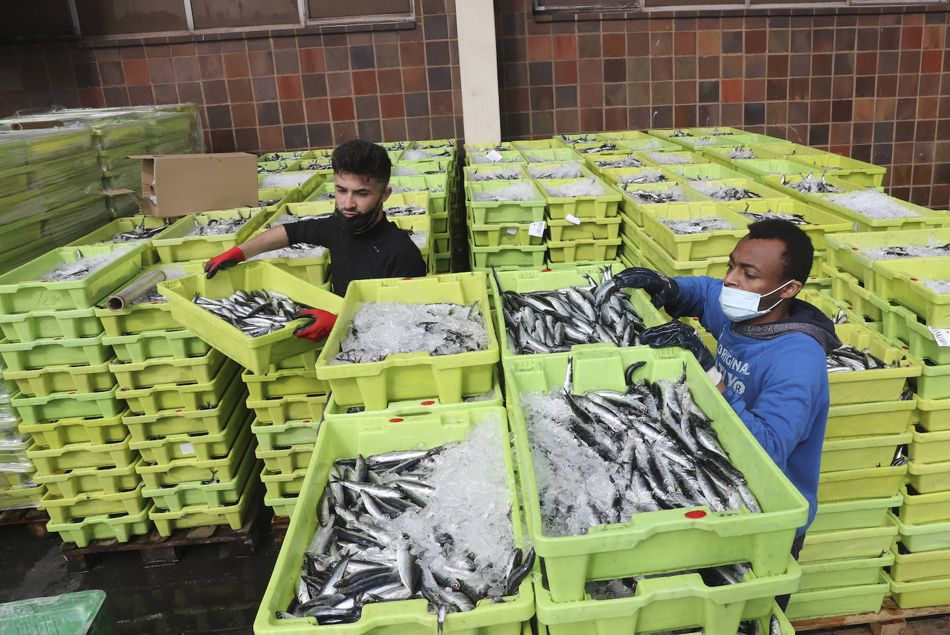 Más de ochenta barcos de toda la flota cantábrica hicieron cola en los muelles del Rendiello para descargar sus capturas.