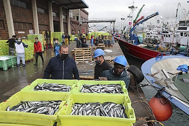 Trasiego incesante a pie de muelle. 