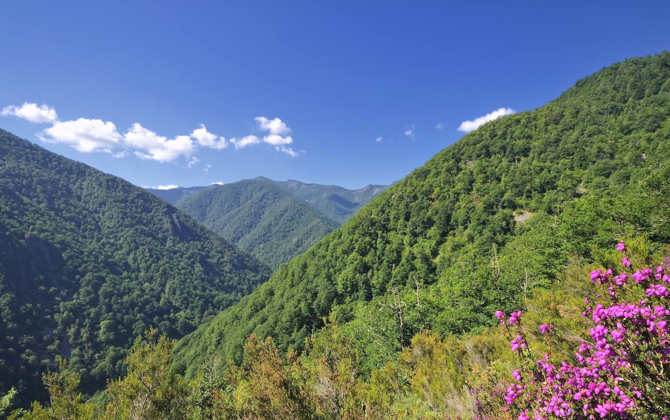 Muniellos (Asturias)