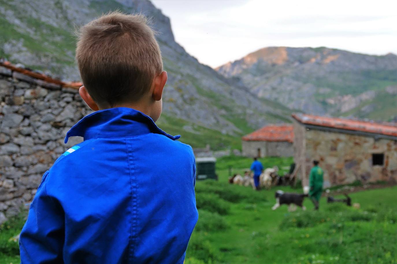 El Parque Nacional de los Picos de Europa cuenta con las cumbres más altas de la Cordillera Cantábrica, lo que indudablemente le da un enorme atractivo paisajístico, turístico y deportivo. Es el tercer Parque Nacional más visitado de España, con casi dos millones de visitantes anuales y fue declarado Reserva de la Biosfera en 2003. 