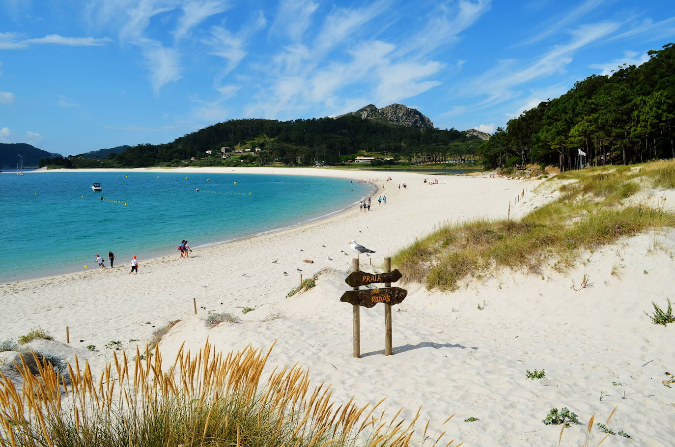 Playa de Rodas (Galicia)