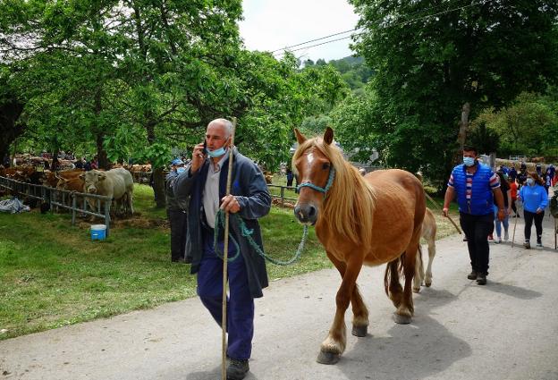 Los caballos registraron mejores ventas que el vacuno. 