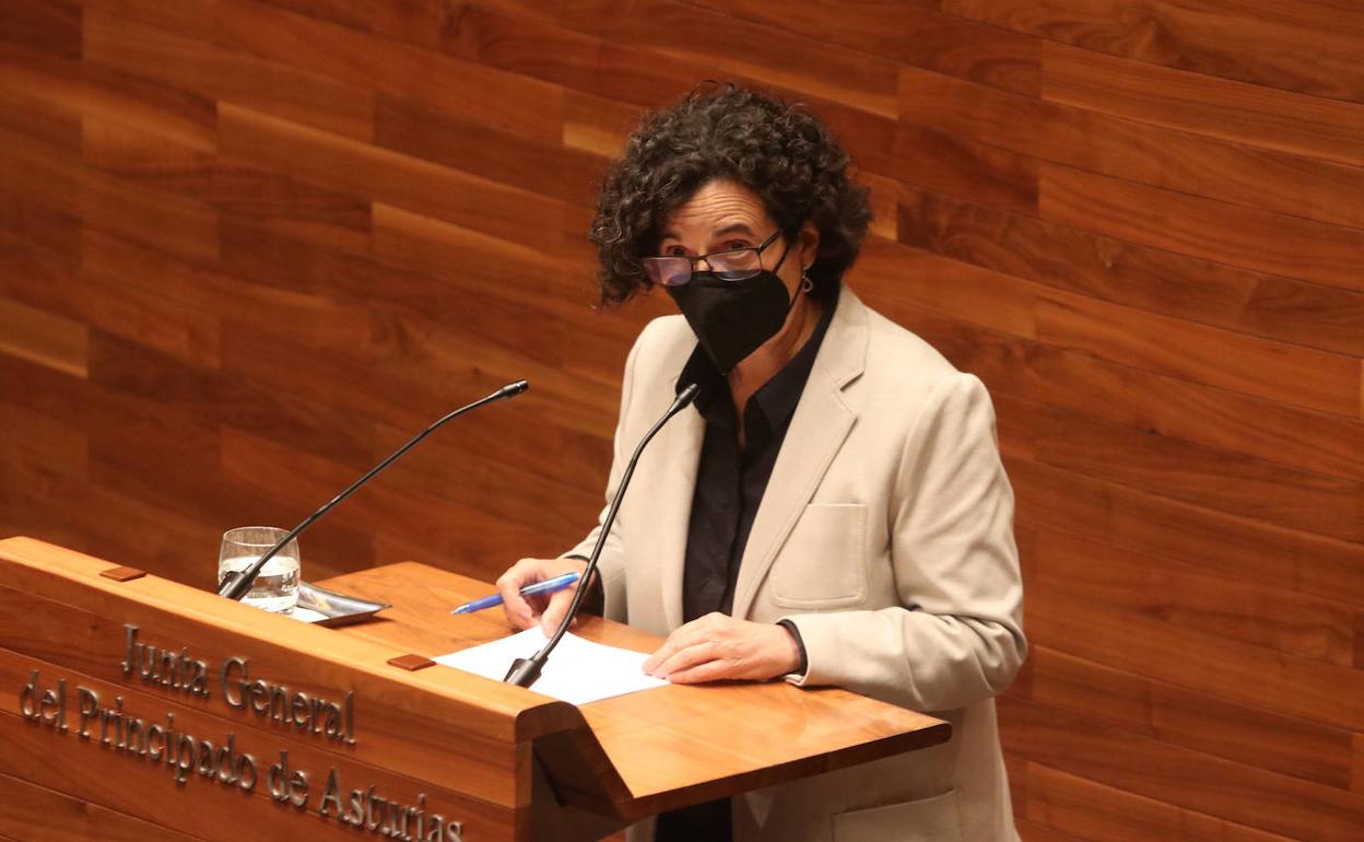 Berta Piñán, en una comparecencia en la Junta General.