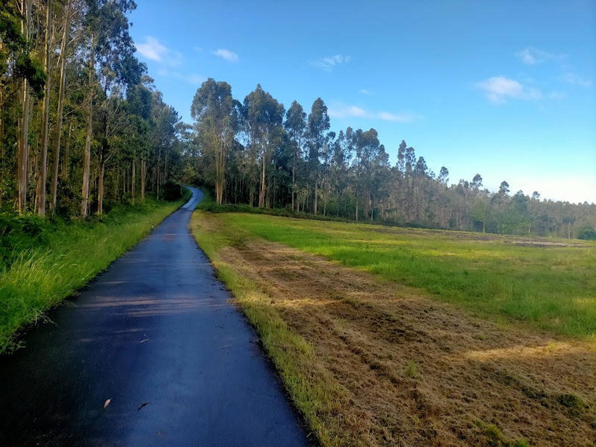 Fotos: Ruta a los dólmenes del Monte Areo