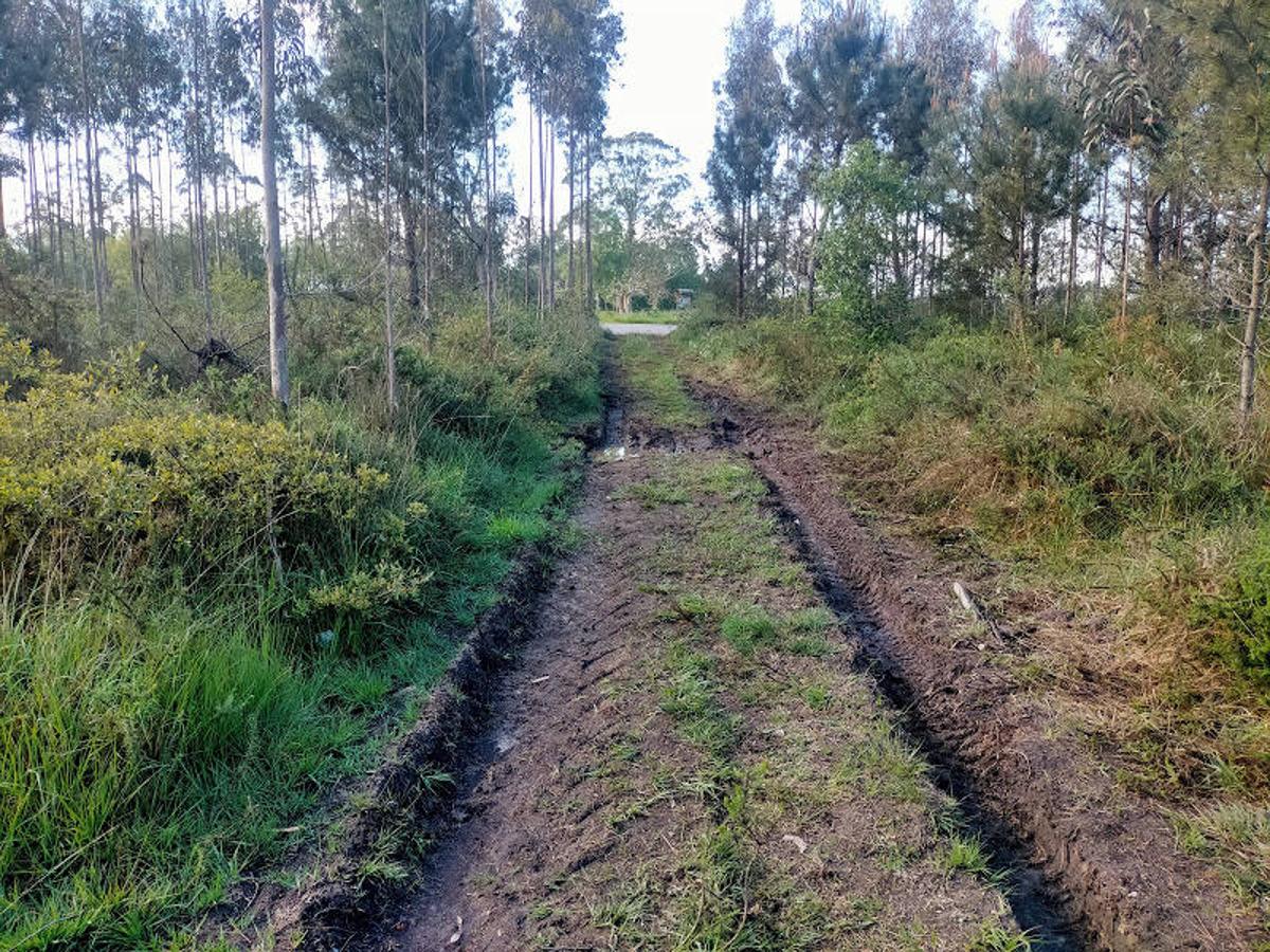 Fotos: Ruta a los dólmenes del Monte Areo