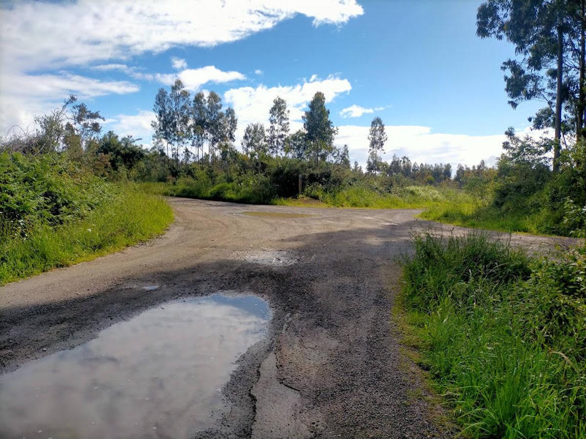 Fotos: Ruta a los dólmenes del Monte Areo