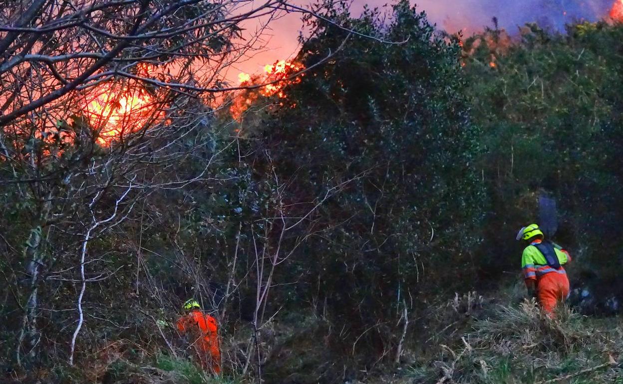 Un incendio forestal en Asturias 