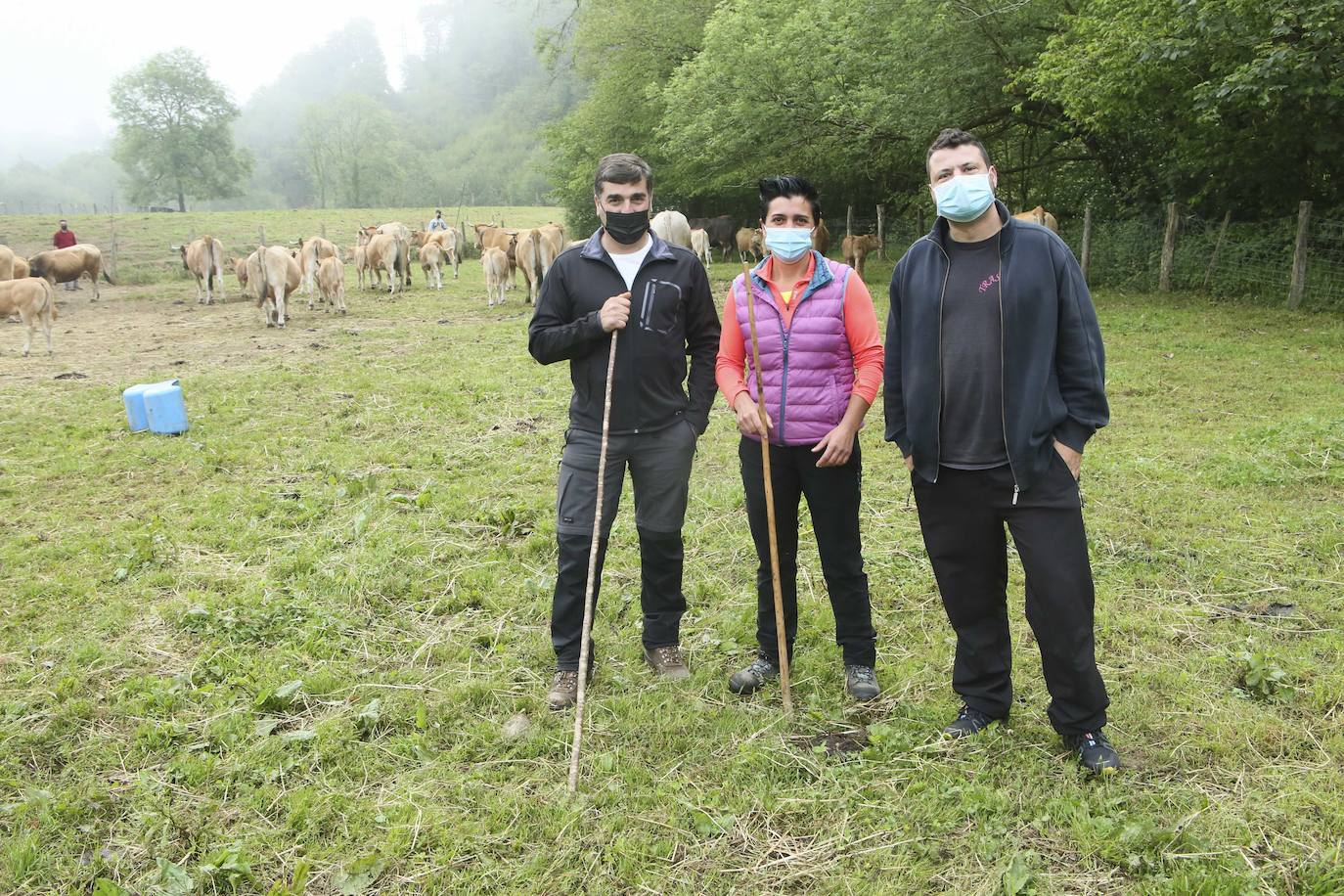 Más de ochenta vacas han ocupado las calles de San Julián, en Bimenes. Las reses han sido dirigidas por más de una decena de pastores hasta los pastos del monte de Peñamayor 