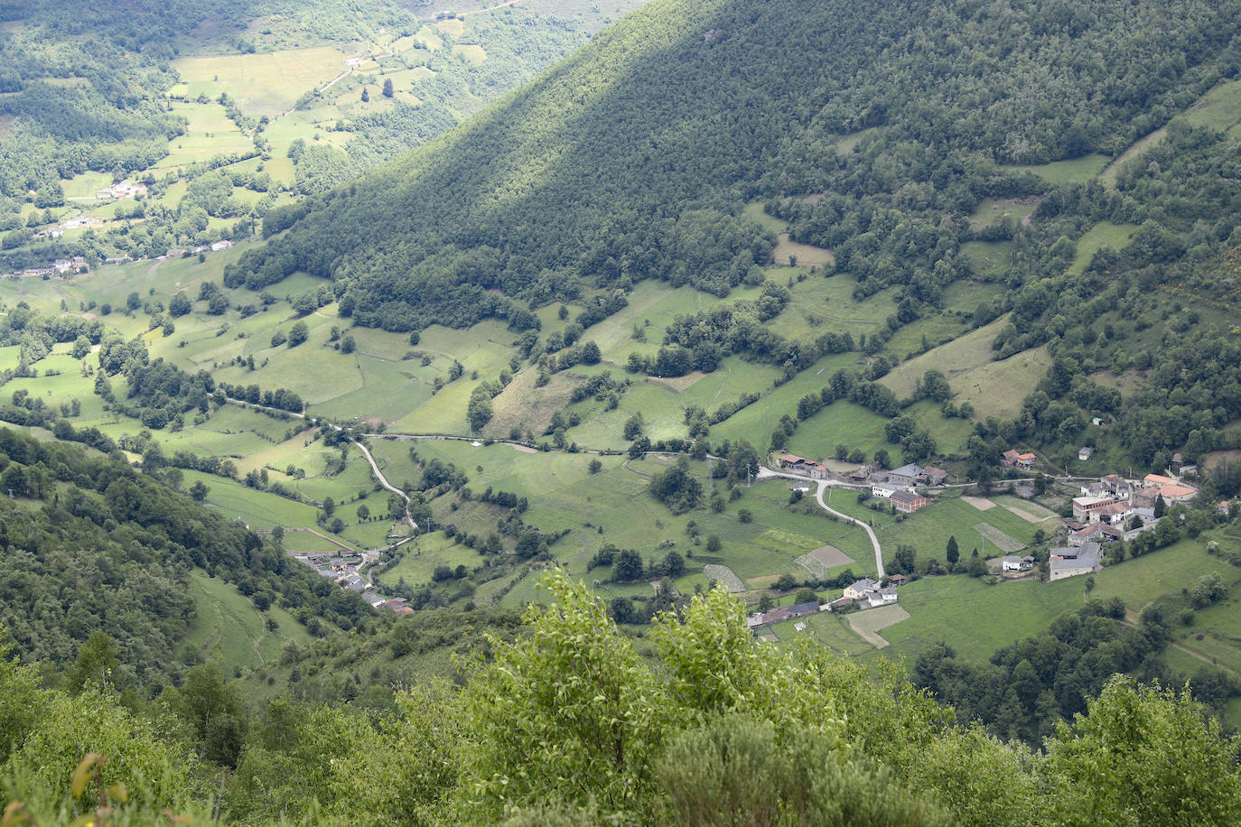 El guarda mayor de la Patrulla Oso del Principado, Miguel Fernández Otero, acompañado por efectivos del Seprona de la Guardia Civil, mantienen activo un dispositivo que vigila los bosques próximos a Sonande, donde tuvo lugar el incidente. El objetivo es «comprobar que nada se salga de lo normal, asegurarnos que no es un oso agresivo y problemático», indican.