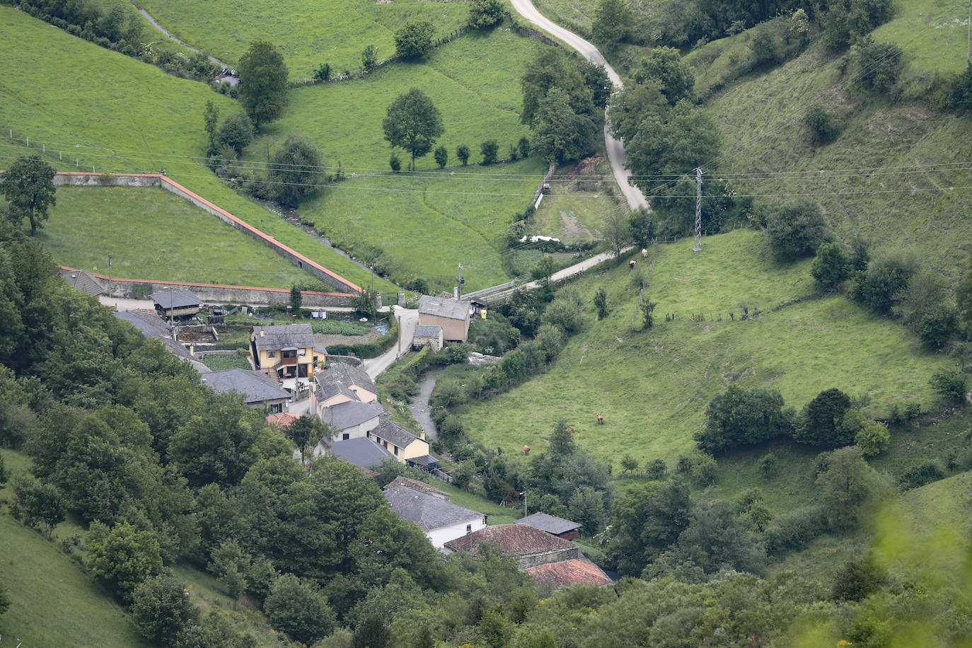 El guarda mayor de la Patrulla Oso del Principado, Miguel Fernández Otero, acompañado por efectivos del Seprona de la Guardia Civil, mantienen activo un dispositivo que vigila los bosques próximos a Sonande, donde tuvo lugar el incidente. El objetivo es «comprobar que nada se salga de lo normal, asegurarnos que no es un oso agresivo y problemático», indican.