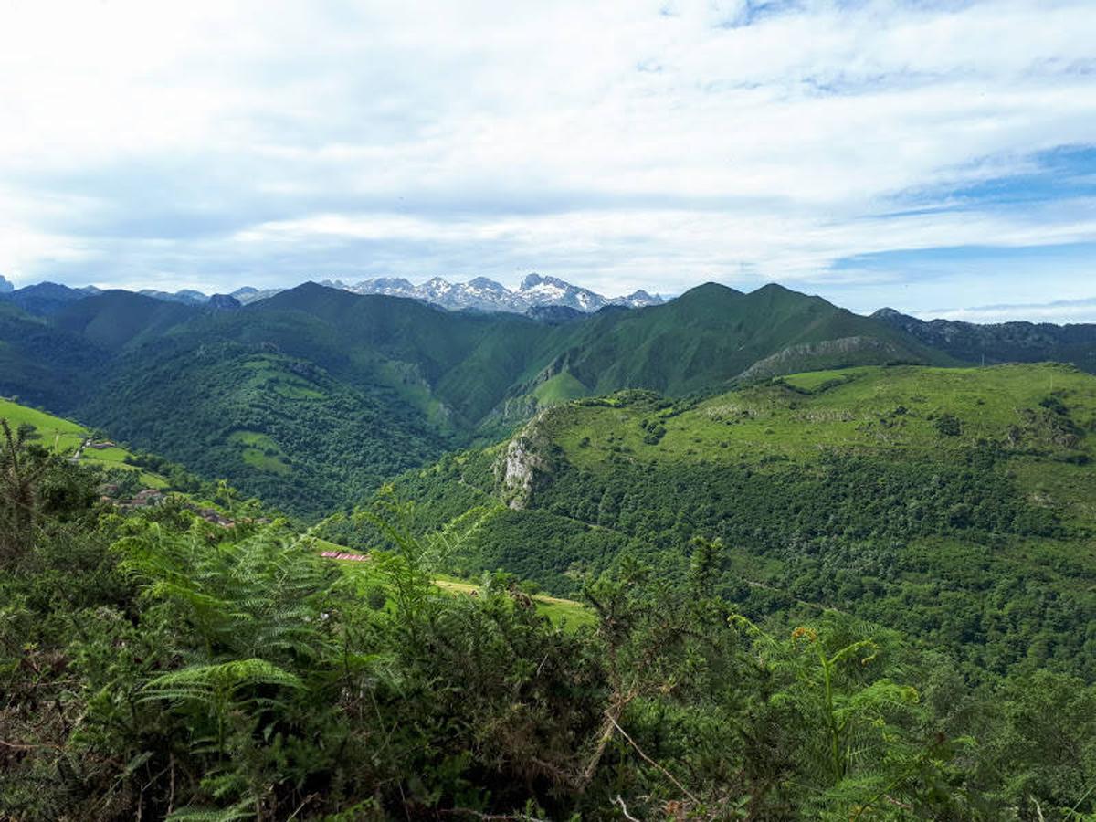 Los Picos de Europa vistos desde Benia de Onís.