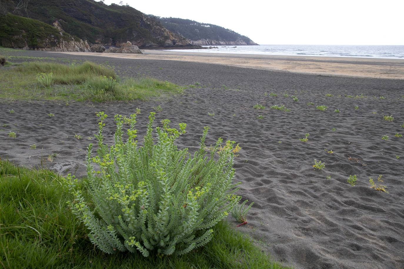 Playa de Otur, Valdés