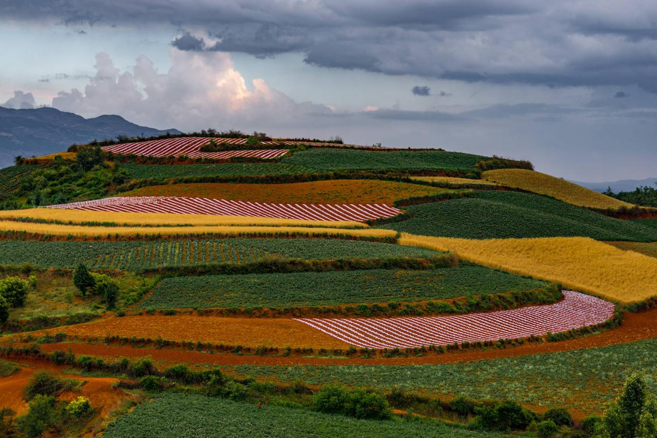 Dongchuan: A unos 250 km al noroeste de Kunming y en la provincia de Yunnan, en China, se encuentra la zona rural de Dongchuan. Un entorno repleto de tierra roja, cuyo color proviene de su rico depósito de hierro y cobre y la cual se encuentra repartida entre los campos destinados a la agricultura. Razón por la que cuando en primavera estas tierras se encuentran aradas para el cultivo, también se convierten en el mejor espectáculo de color para los fotógrafos. 