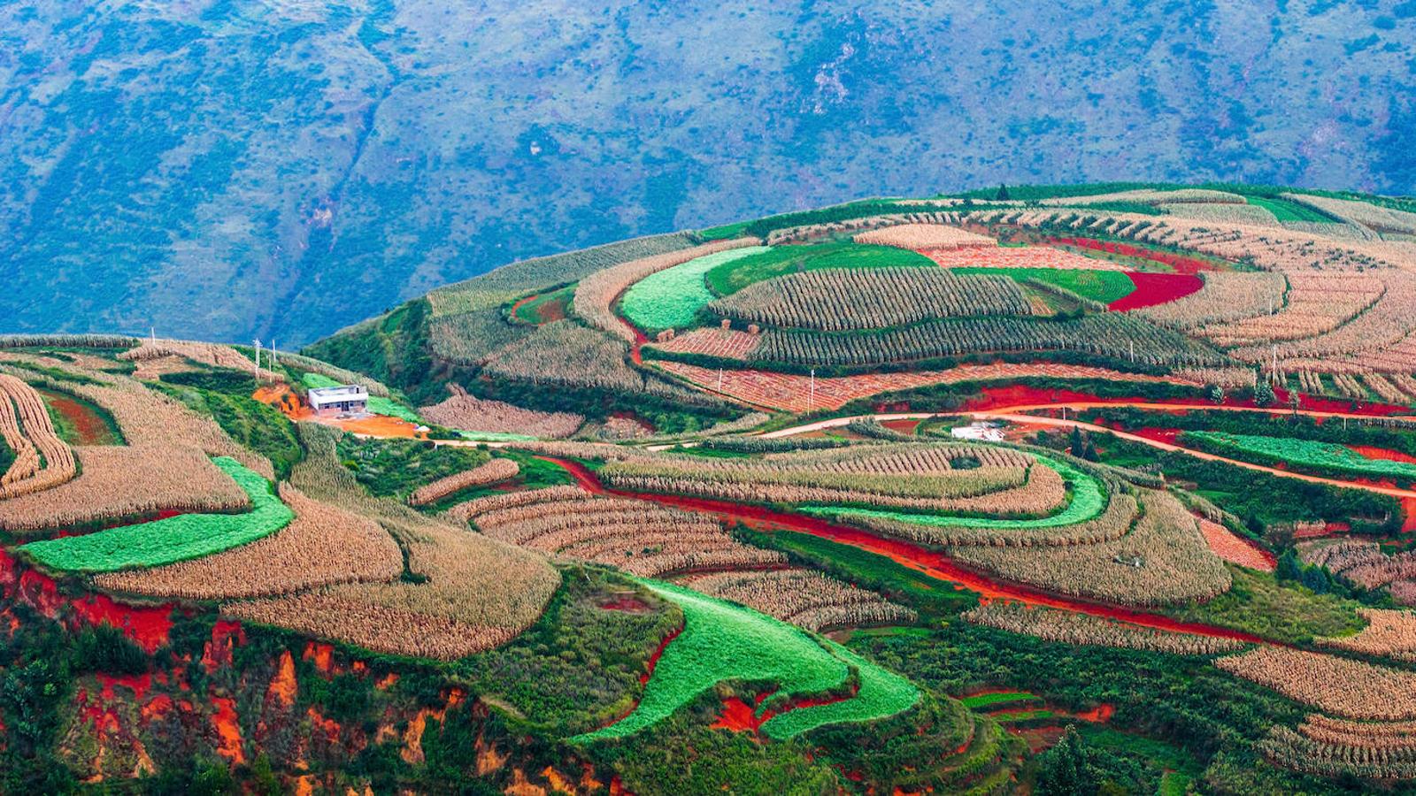 Dongchuan: A unos 250 km al noroeste de Kunming y en la provincia de Yunnan, en China, se encuentra la zona rural de Dongchuan. Un entorno repleto de tierra roja, cuyo color proviene de su rico depósito de hierro y cobre y la cual se encuentra repartida entre los campos destinados a la agricultura. Razón por la que cuando en primavera estas tierras se encuentran aradas para el cultivo, también se convierten en el mejor espectáculo de color para los fotógrafos. 