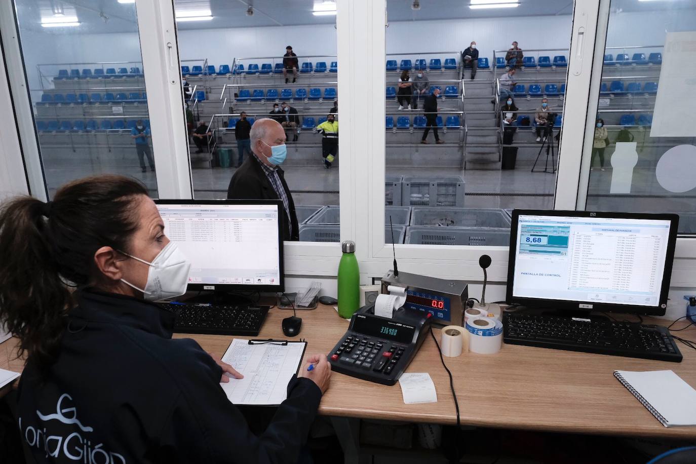 El primer bonito subastado en la lonja de Gijón esta temporada ha alcanzado un precio de 12,99 euros. Como ya ocurriera los últimos años, fue el pesquero con base en Bermeo 'María Digna Dos' el que descargó las primeras tinas. 