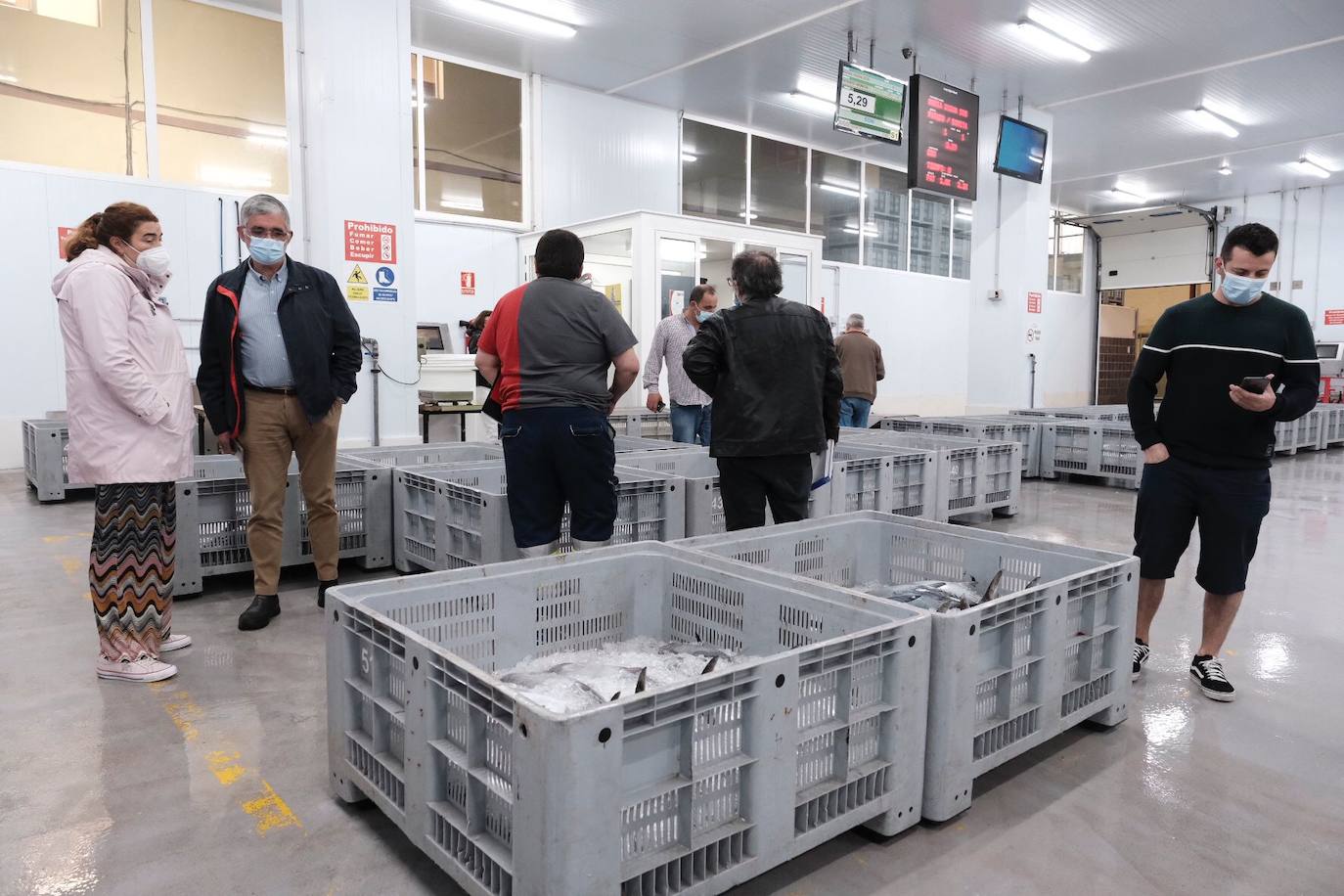 El primer bonito subastado en la lonja de Gijón esta temporada ha alcanzado un precio de 12,99 euros. Como ya ocurriera los últimos años, fue el pesquero con base en Bermeo 'María Digna Dos' el que descargó las primeras tinas. 