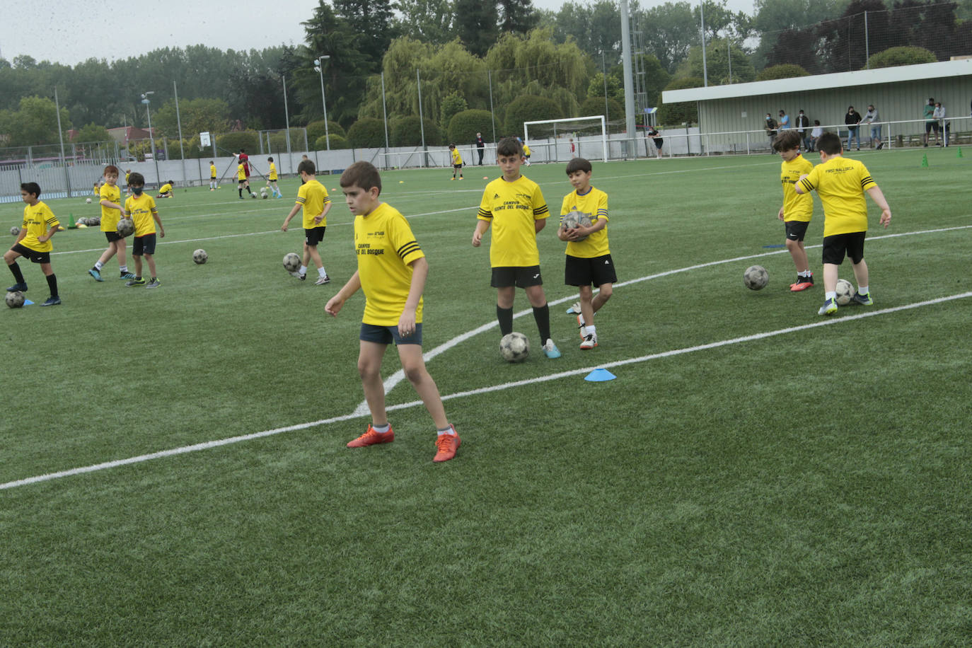 Vicente del Bosque, seleccionador nacional de fútbol con el que España ganó su primer y único Mundial del deporte rey, ha impartido este domingo una 'master class' frente a un centenar de niños y niñas de Noreña. 