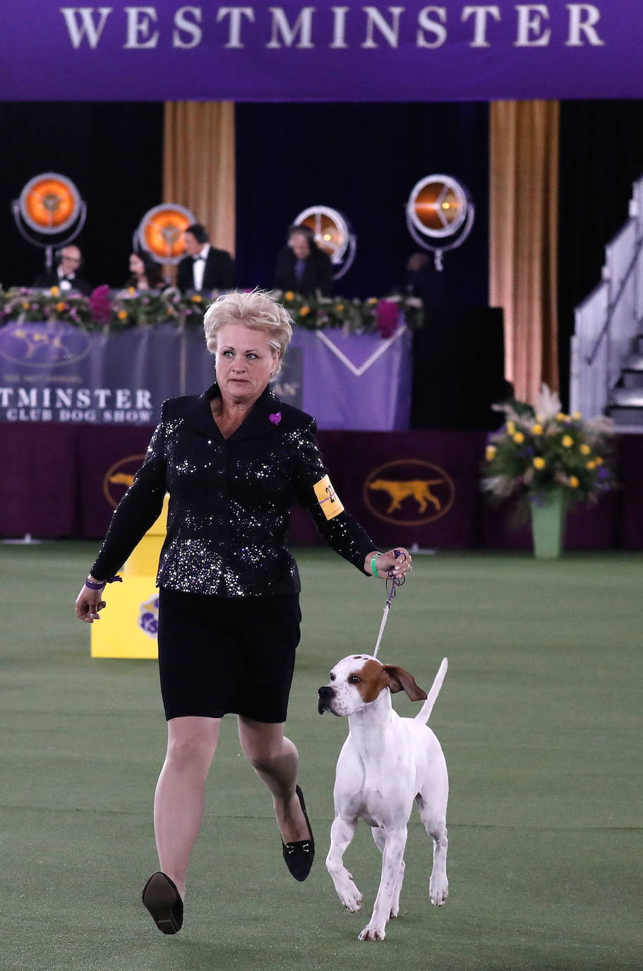 La Gran Manzana acogió la 145 Exposición Canina Anual del Westminster Kennel Club. El ganador, un pequinés apodado 'Wasabi' que enamoró al jurado con su abundante melena. Para su preparación, planchas de pelo, cepillos caradadores, polvos talco y sprays para dar volumen, se convierten en los perfectos aliados de los dueños que quieren que su mascota sea el centro de todas las miradas.
