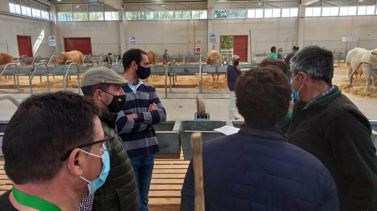 Un grupo de ganaderos sigue la subasta en tiempo real a través de un móvil, con el animal subastado a diez metros. Abajo, la imagen del ganador de la puja, la tarjeta 24.