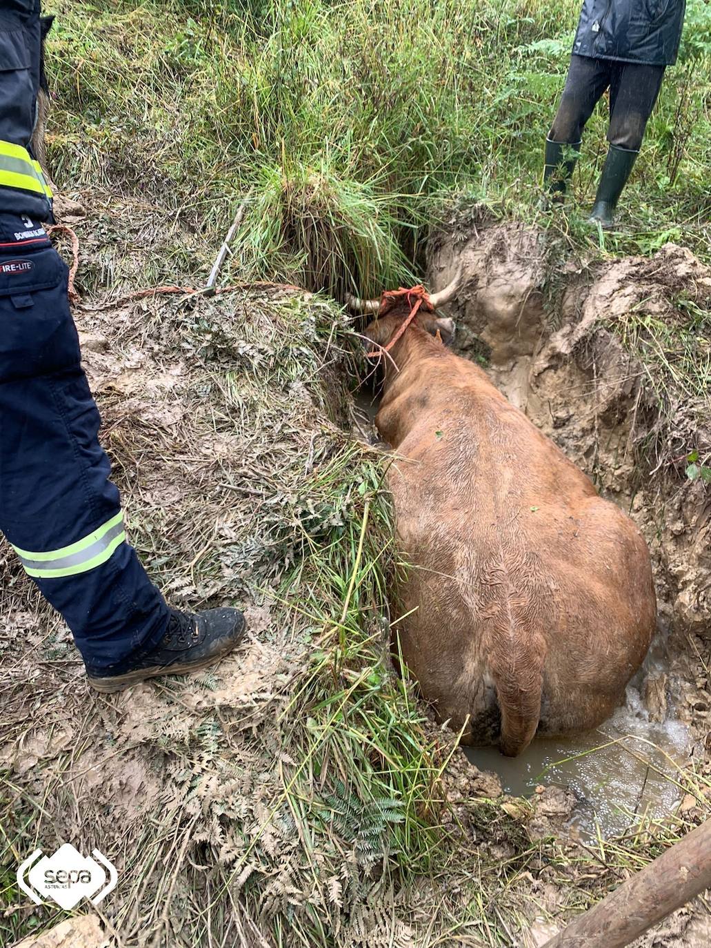 Fotos: Los bomberos rescatan a &#039;Navarrica&#039; de un pozo en Grado