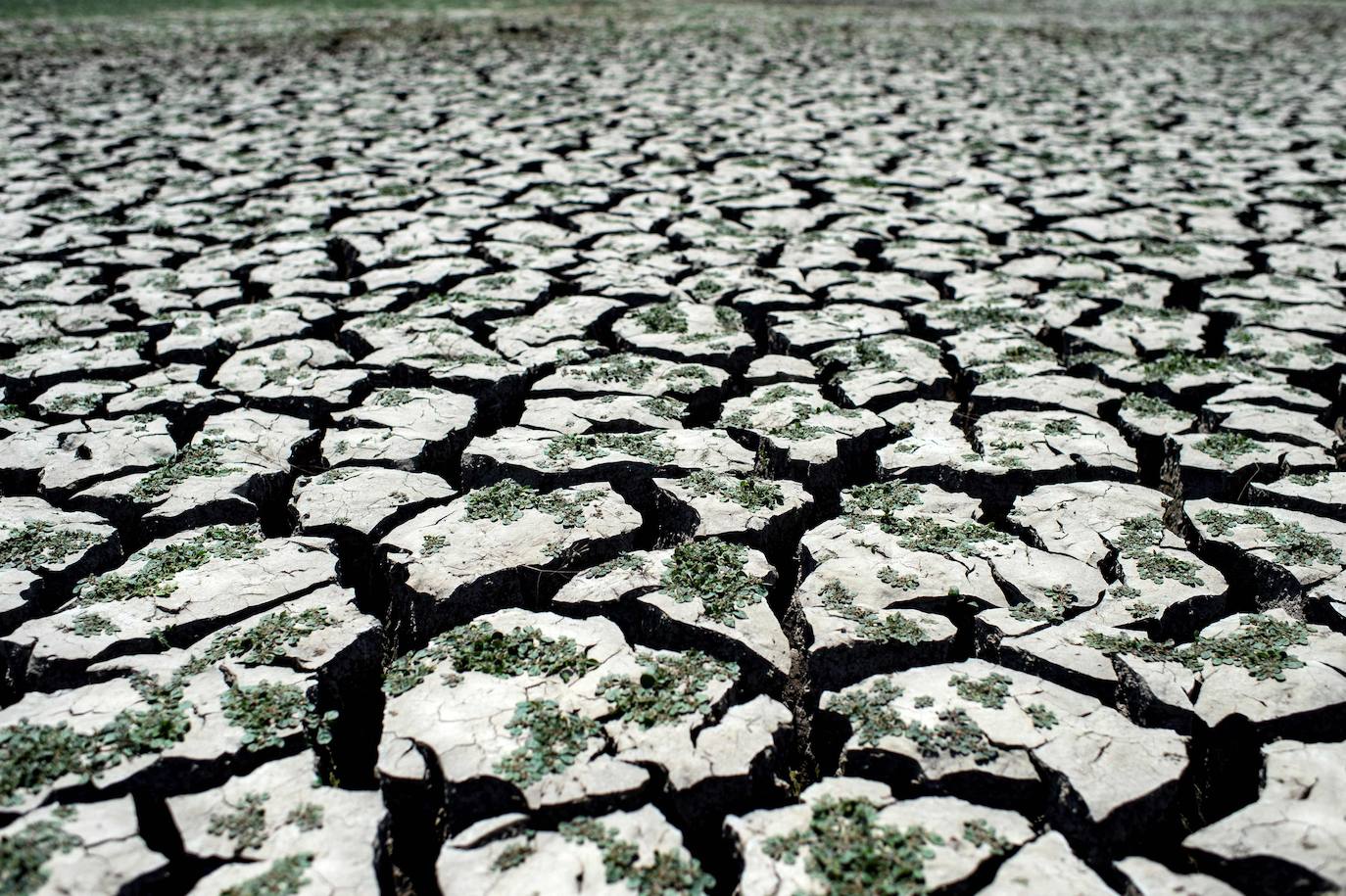 Después de un año de pandemia en el que el mundo ha dado un vuelco, el informe del Panel Intergubernamental de la ONU sobre Cambio Climático ofrece una visión angustiosa de las próximas décadas: desnutrición, inseguridad hídrica y pestilencia.El hambre, la sequía y las enfermedades afectarán a decenas de millones de personas más.