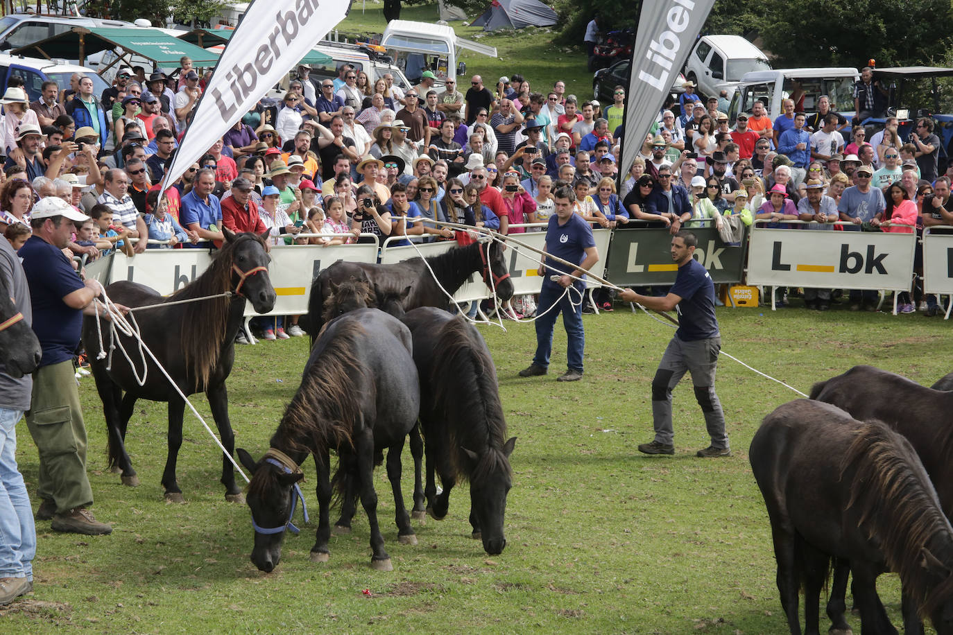 El Asturcón es el canto a una raza autóctona. Se celebra desde hace más de 35 años en Piloña y es una fiesta en honor a la raza de caballo salvaje que se cría en libertad en la Sierra del Suave.