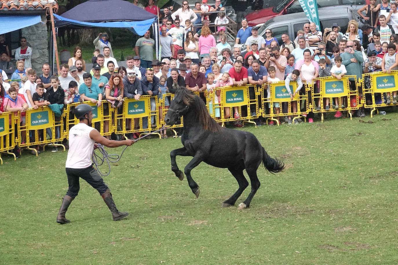 El Asturcón es el canto a una raza autóctona. Se celebra desde hace más de 35 años en Piloña y es una fiesta en honor a la raza de caballo salvaje que se cría en libertad en la Sierra del Suave.