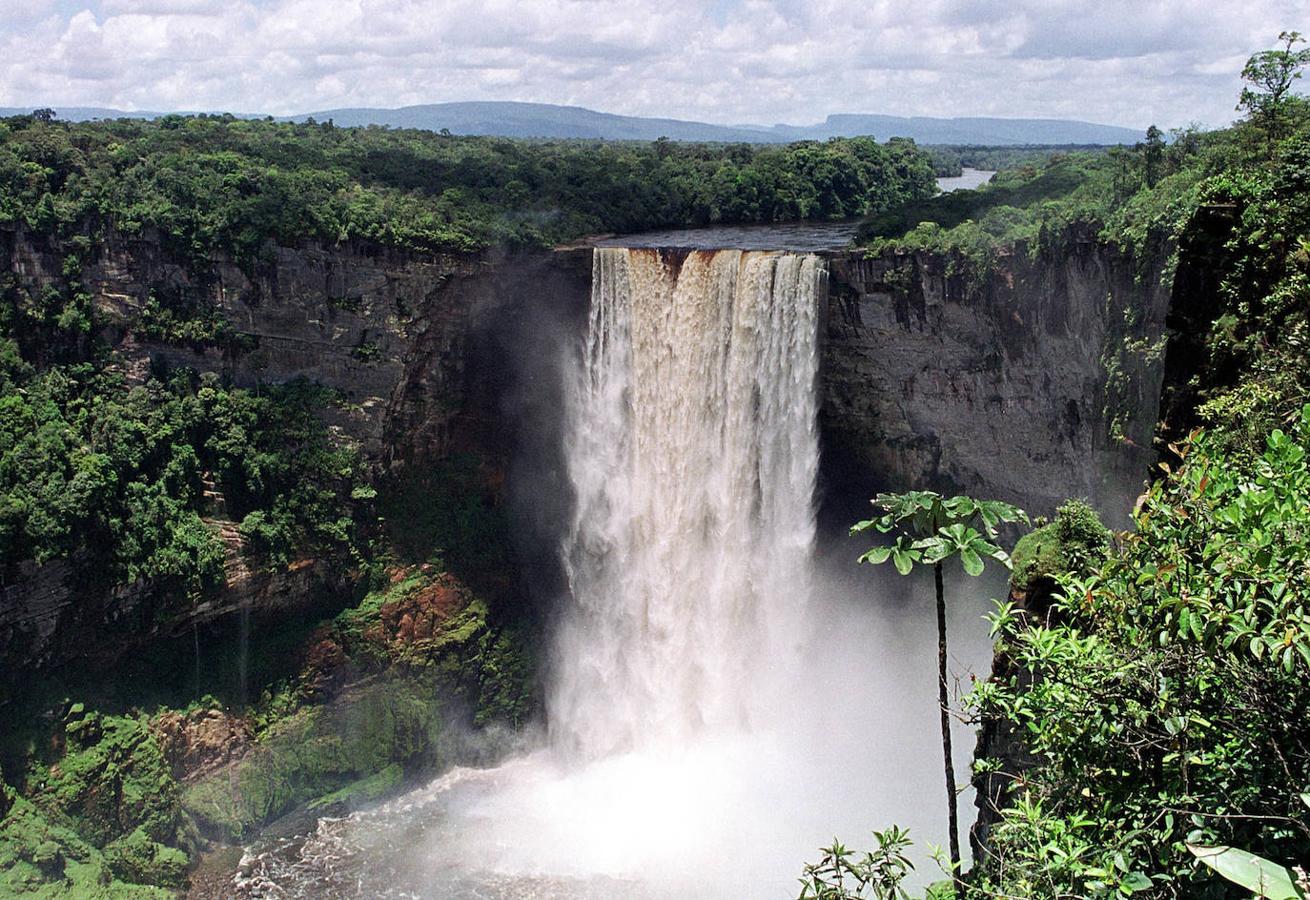 Cataratas Kaieteur (Guyana): Las Cataratas Kaieteur forman parte del río Potaro y se encuentran en el Parque Nacional de Kaieteur, dentro de la región de selva amazónica de Guyana. Se trata de uno de los saltos más grandes, con nada menos de 225 metros. Un impresionante salto de agua, al que hay que añadir la belleza y la magia del lugar en el que se encuentran, rodeadas por la verde selva tropical.