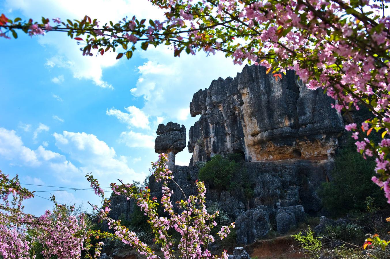 El bosque de piedra de Naigu (China): En China encontrarás este paisaje de rocas similares a verdaderas estalagmitas gigantes que salen del mismo suelo y concretamente en la provincia de Yunnan. Un auténtico bosque de piedra con más de 250 millones de años y que se formaron en el lecho de un antiguo mar. Un paisaje impresionante que ha sido declarado Patrimonio de la Humanidad por la UNESCO.