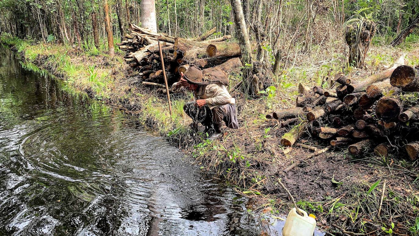 Los campesinos cubanos del Parque Nacional Ciénaga de Zapata, en Cuba, elaboran carbón vegetal con los mismos métodos y utensilios que sus antepasados, pero replantando árboles cortados.