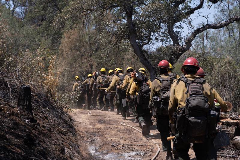 Los bomberos y los equipos de limpieza de California luchan contra los estragos que ha dejado el último incendio en el condado de Mariposa. Las altas temperaturas de la región están dificultando la extinción del fuego, que ya lleva más de 3.200 hectáreas calcinadas