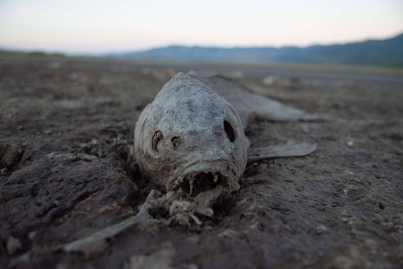 Así se encuentra actualmente el lago Washoe, en el estado de Nevada