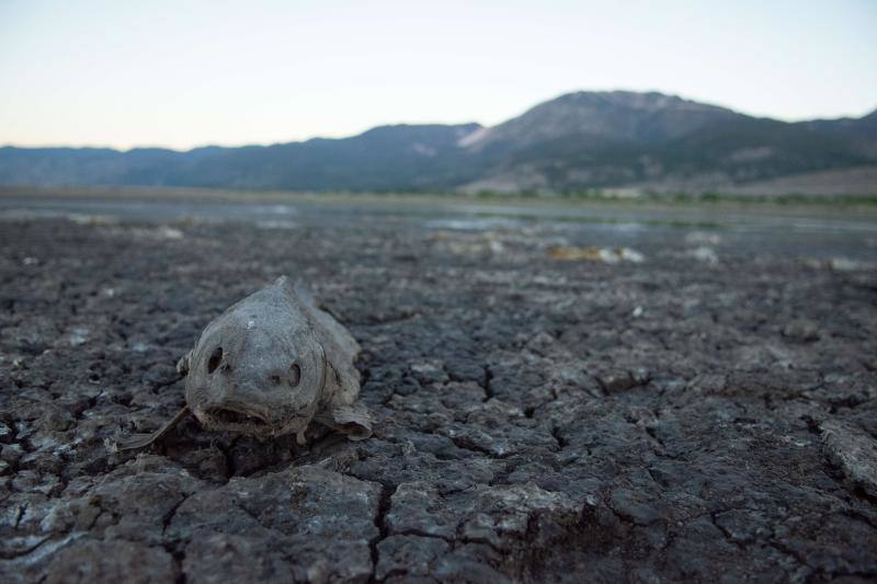 Así se encuentra actualmente el lago Washoe, en el estado de Nevada