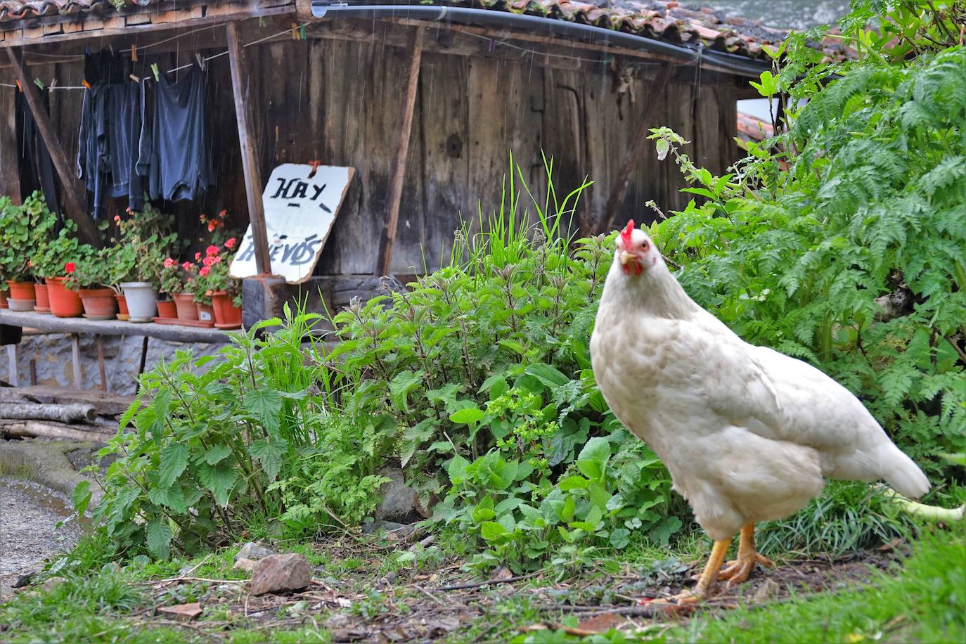 Fotos: Ponga lucha contra el despoblamiento